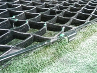 DSCN4272.JPG