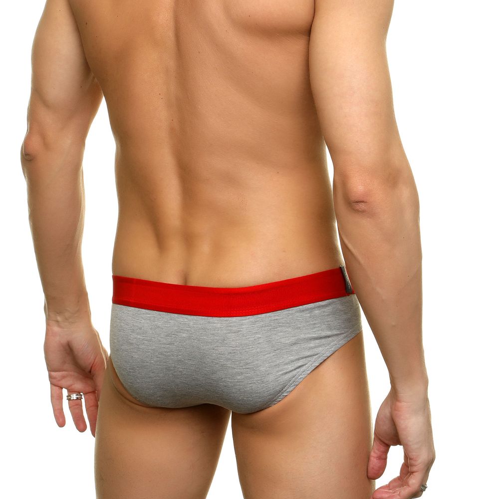 Трусы мужские слипы серые DARKZONE DZN6353