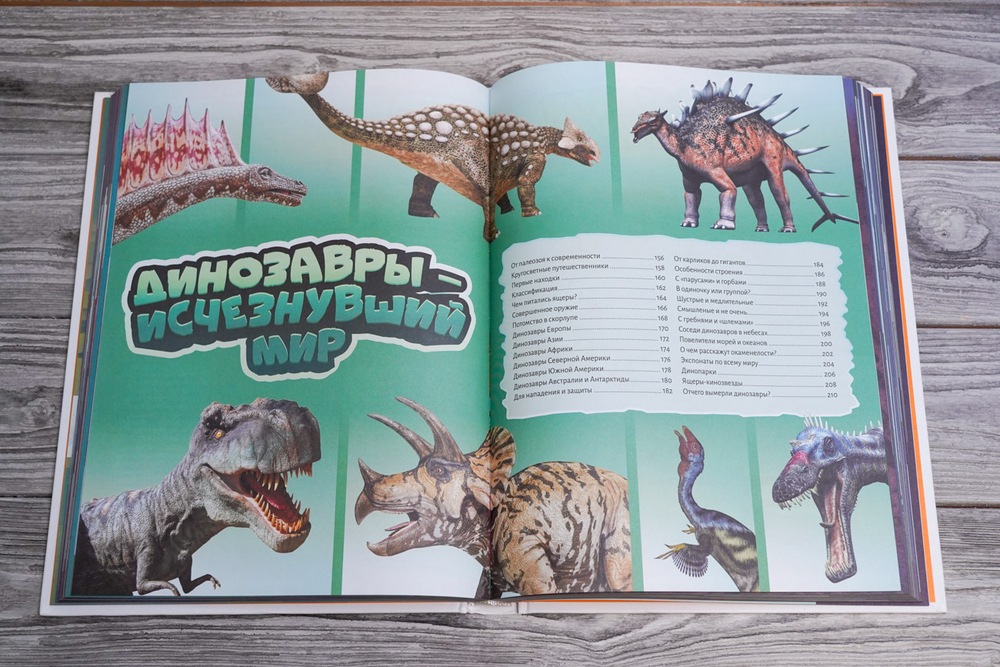 Весь мир в 4D