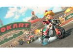 Mario Kart World