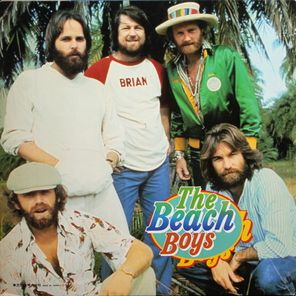 The Beach Boys / The Beach Boys (2LP)