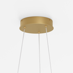 Подвесной светильник Maytoni MOD058PL-L42BSK