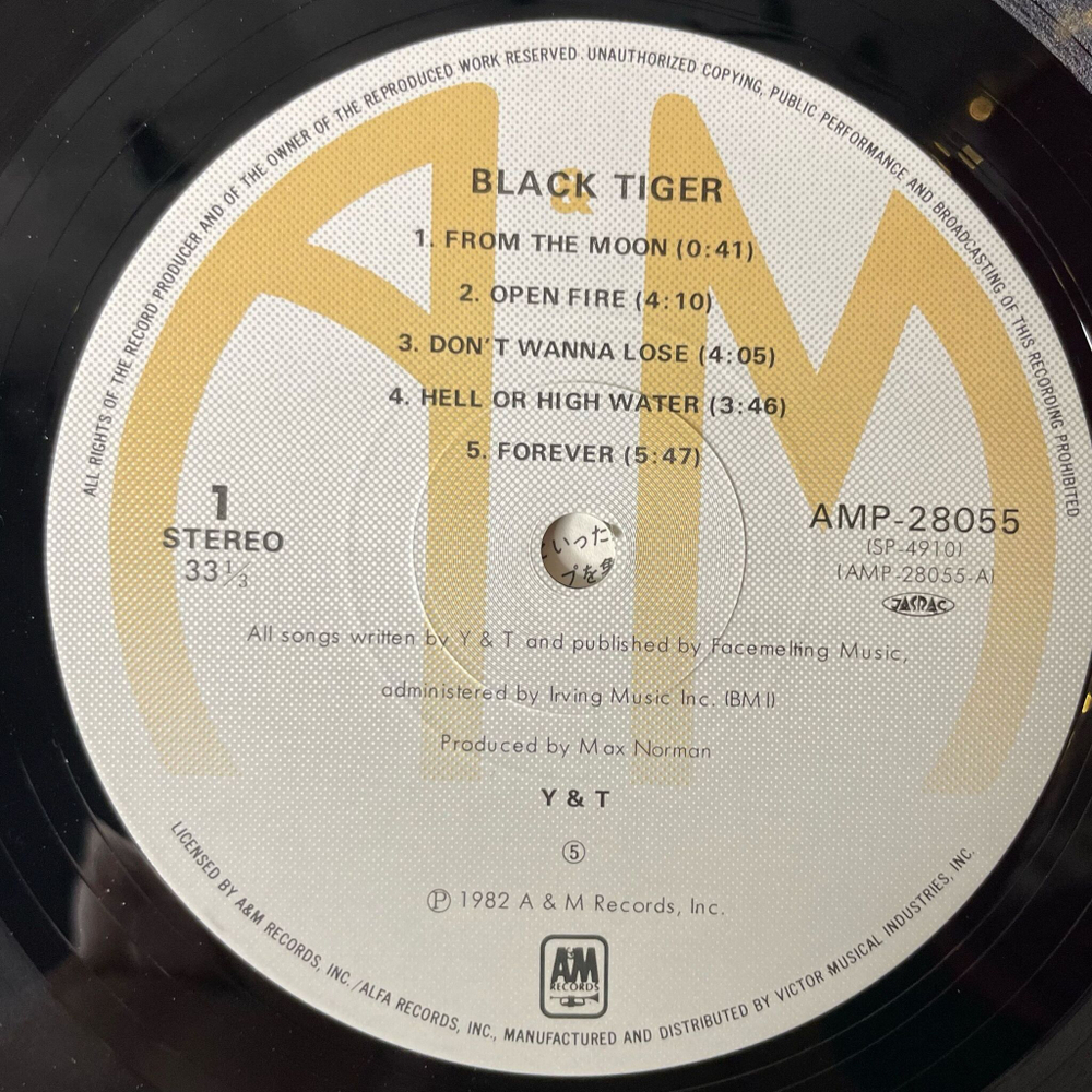 Винтажная виниловая пластинка LP Yesterday and Today (Y and T) Black Tiger (Japan 1982) (Obi)