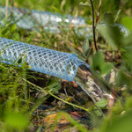Шланг поливочный прозрачный армированный 3-х слойный, 1/2", 50 м Palisad