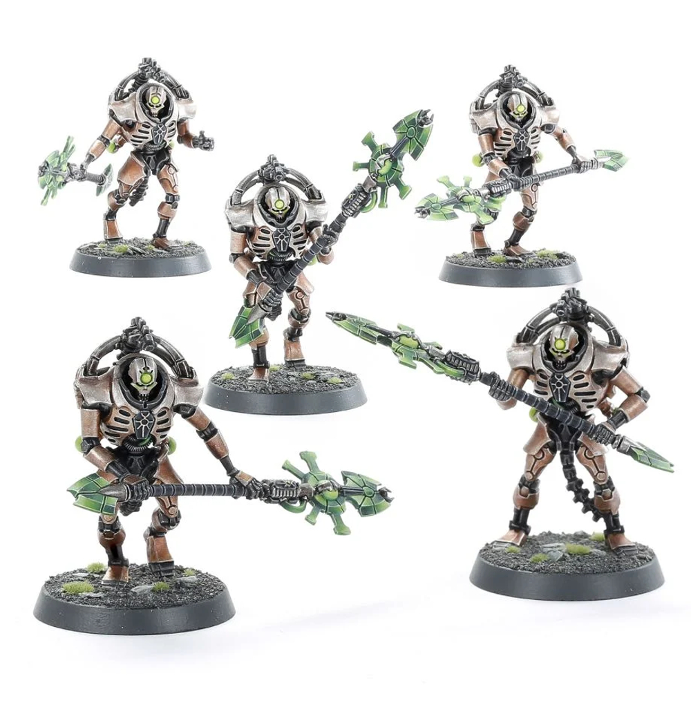 Necron Triarch Praetorians/Lychguard