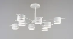 6901/8 WT (1) Люстра (RL) #