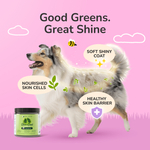 Kin+Kind, Superзелень для собак и кошек, для кожи и шерсти, 226,8 г (8 унций)