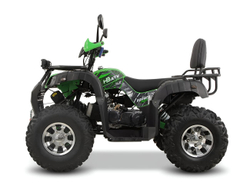 Квадроцикл GRIZZLY 200 Premium