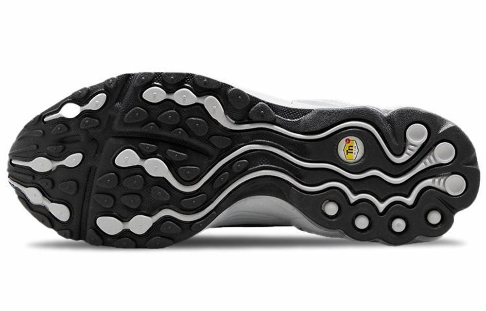 Кроссовки Nike Air Tuned Max