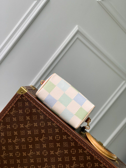 Louis Vuitton Speedy 20