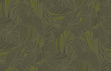 Monstera
