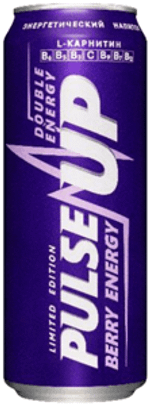 ПульсАп ЯГОДЫ 0,45/24 ЖБ
