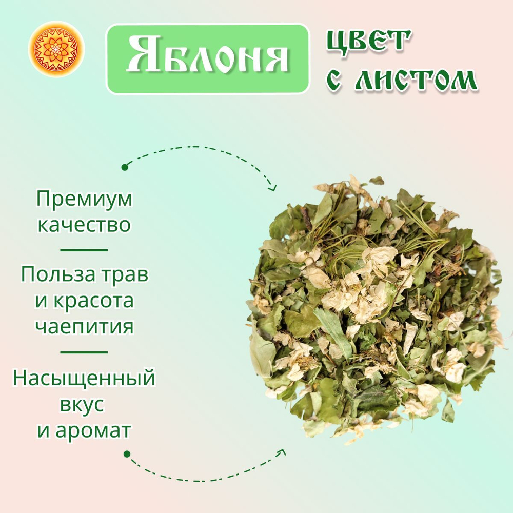 Яблоня цвет / цвет с листом.