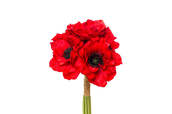 Букет красных маков искусственный 30см Garda Decor 9F27090SN-1545