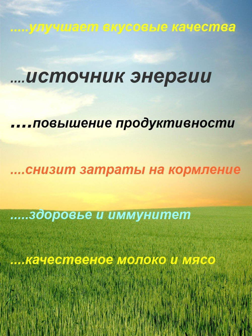 Патока меласса кормовая для коров лошадей рыбалки прикормка