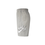 Шорты Nike SB Sunday, CI5853-064