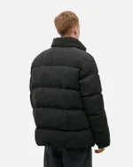 Купить Пуховик Anteater AW24 Downjacket Velvet Green Пуховик Anteater AW24 Downjacket Velvet Green
