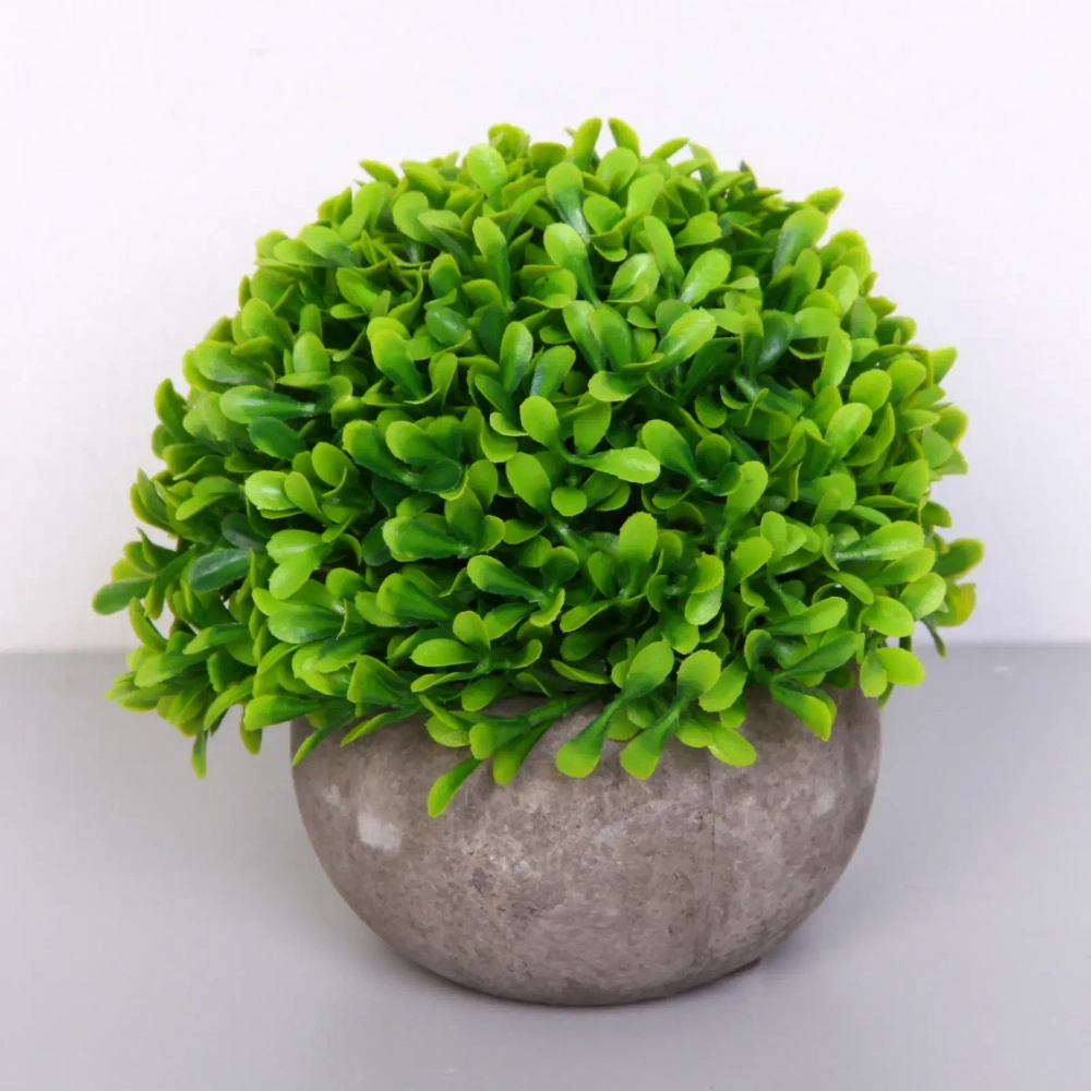 Цветочная композиция «Green garden» 10*12см в горшке, зелень