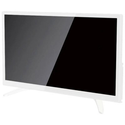 Телевизор Asano 24" 24LH1011T