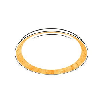 Светильник с пультом 48W 3000K - 5500K RGB CL752352G белый/под дерево (клен) MEGA Citilux