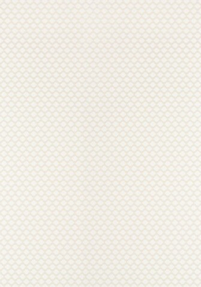 Thibaut Dynasty T75504