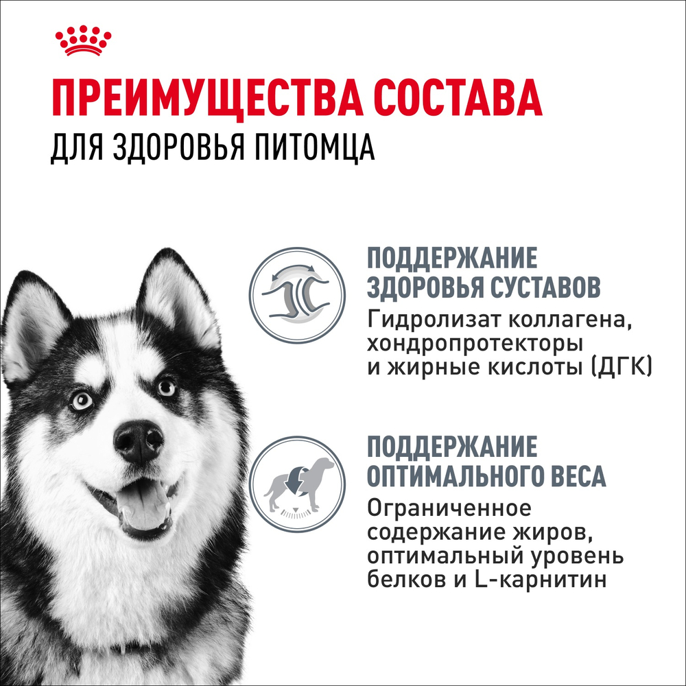 Royal Canin Maxi Joint Care Макси Джойнт кэа Корм сухой для взрослых собак крупных размеров с повышенной чувствительностью суставов 3кг