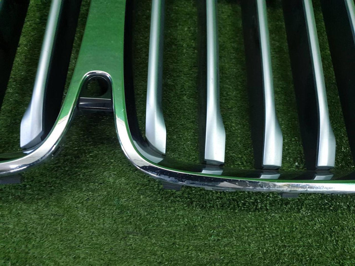 Решетка радиатора BMW X7 G07 (2019-2022)