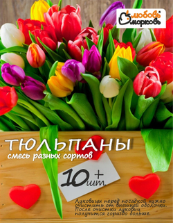 Тюльпан Луковицы неочищенные, Микс сортов, более 10шт+