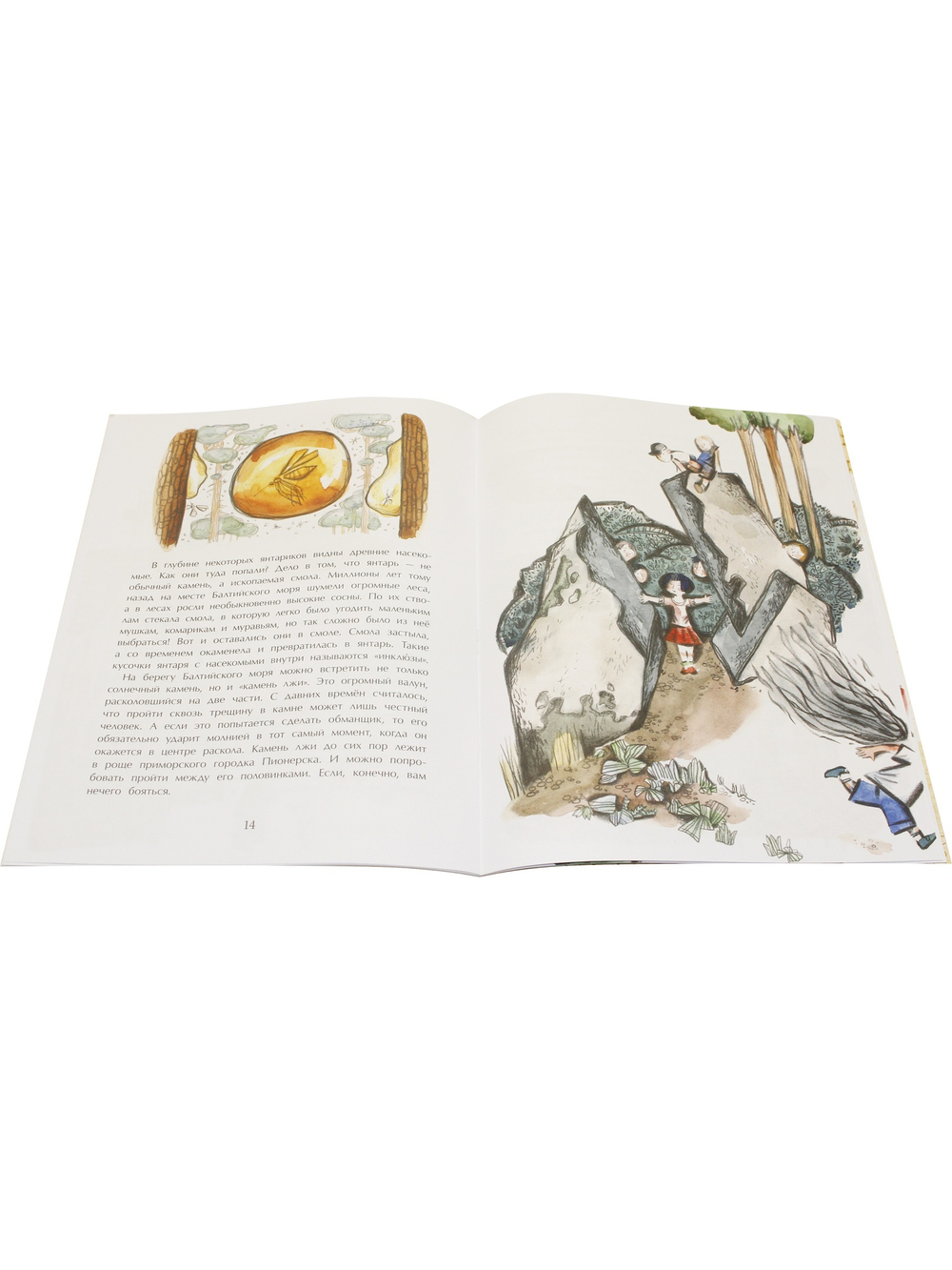 Калининград. Там, где танцует лес