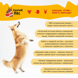 Лакомства для собак Сытый пёс / Семенники говяжьи ломтики / 1000 грамм