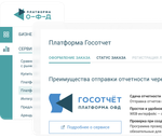 Лицензия на использование ПО «Платформа Госотчет 2.0». Тариф «Отчеты в ФНС»