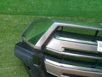 Решетка радиатора Toyota Land Cruiser 200 (2015-2021)