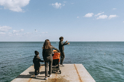 Детская прогулочная коляска Anex AIR-X Ax-01 terracotta