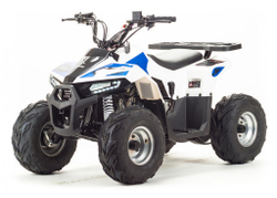 ATV Motoland 110 EAGLE (2020г.)