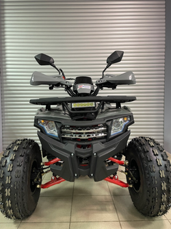 Квадроцикл PROMAX WILD 2.0 190 PRO (2025)