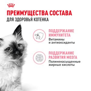 Пауч Royal Canin Kitten Gravy для котят в период второй фазы роста в возрасте до 12 месяцев, кусочки в соусе