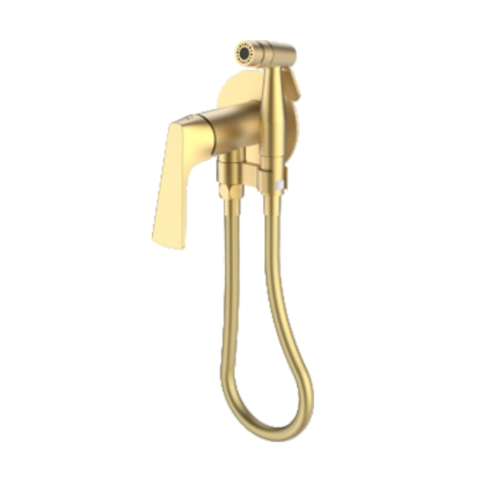 Гигиенический душ со смесителем встраиваемый Raglo R07.52.03, сатин золотой
