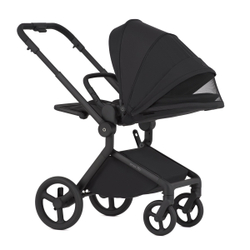 Anex Детская коляска Flo 2 в 1 Lungo
