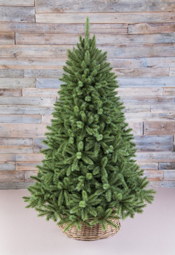 Ель Лесная красавица  155см голубая Triumph Tree