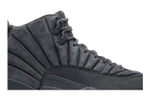 Кроссовки Jordan Air Jordan 12 Retro Psny