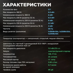 Генератор бензиновый ECO PE-9001E3FP