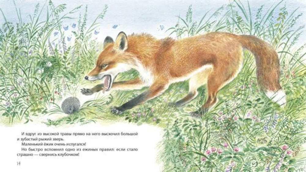Самый маленький ежик