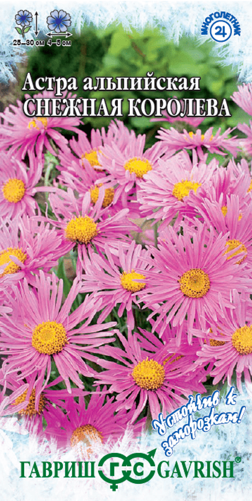 Астра Снежная королева, альпийская 0,05г серия Устойчив к заморозкам