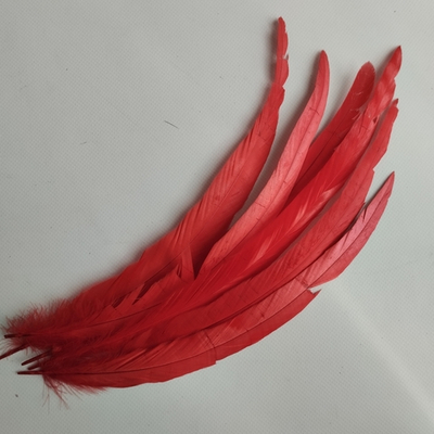 Перья петуха красные 2 сорт 30 -35 см. за штуку