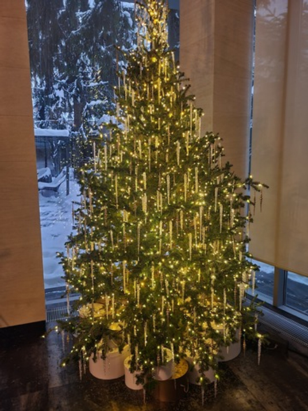 Дизайнерская ель «Хрустальный лёд»