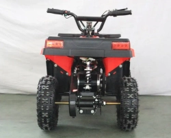 Электроквадроцикл Green Camel Гоби K24 (36V 800W R6 Цепь)