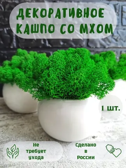Кашпо со мхом