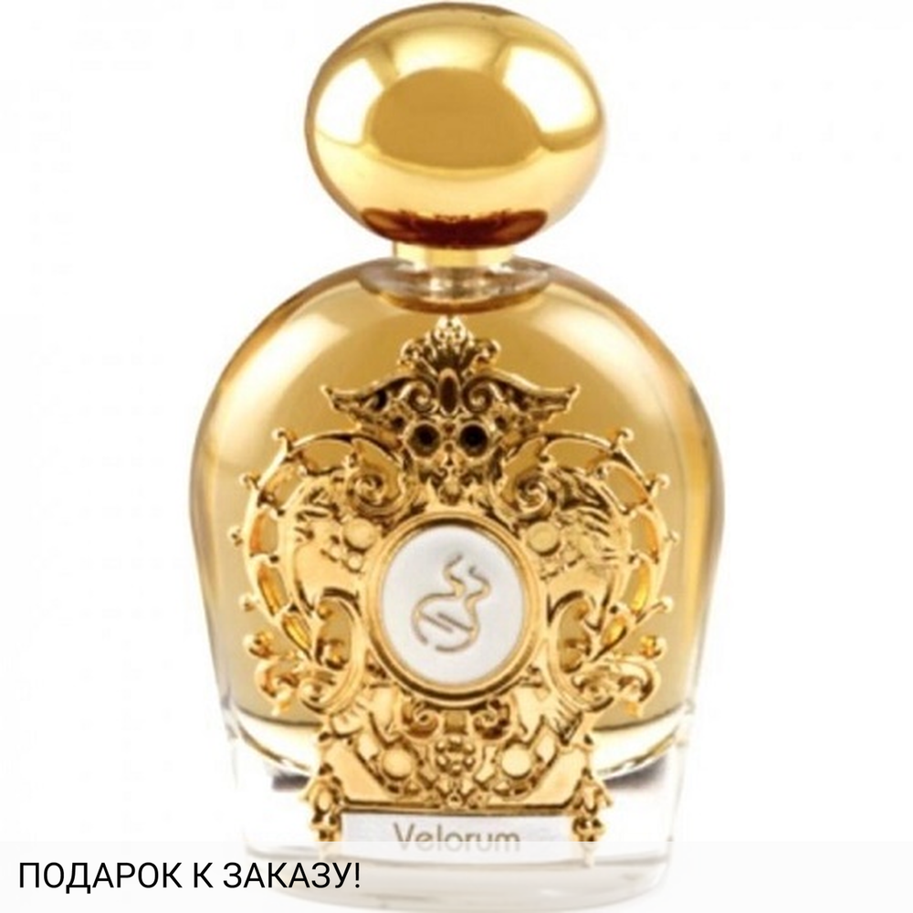 Tiziana Terenzi Velorum