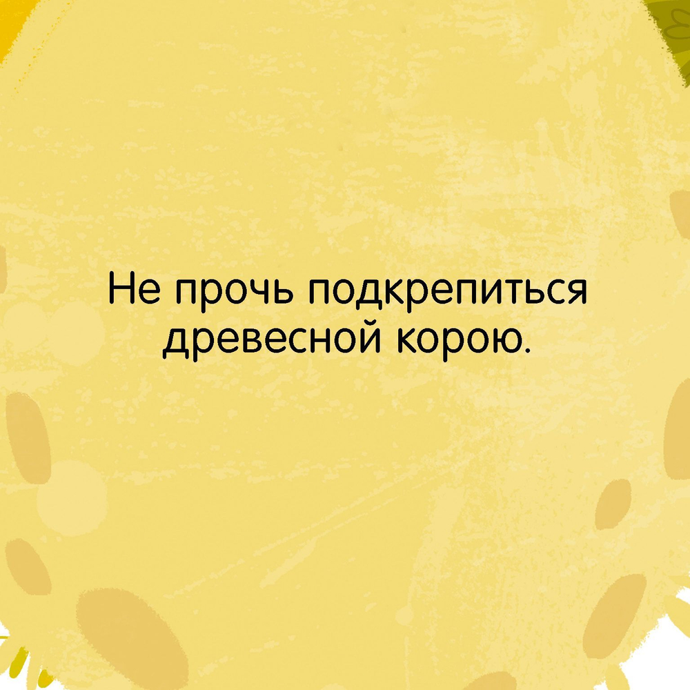 Книжка с окошками. Малыши в лесу