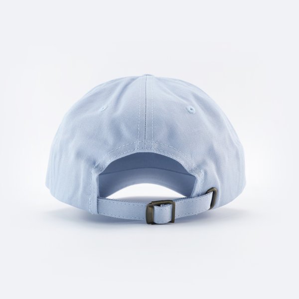 Кепка Passenger Logo (LIGHT BLUE) артикул: - купить в магазине Дайс